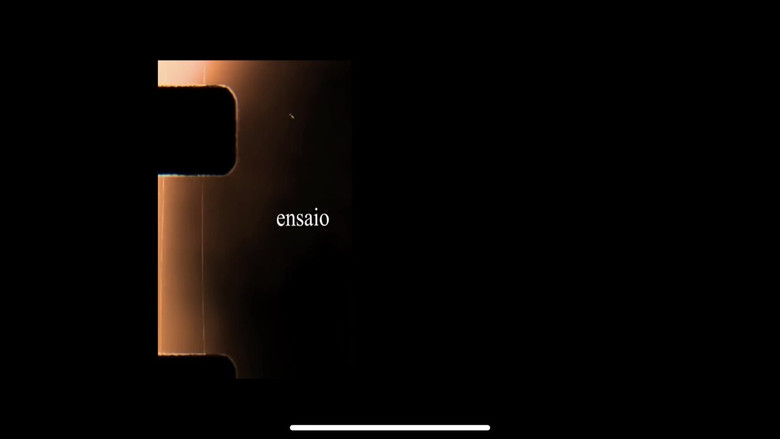 кадр из фильма Ensaio