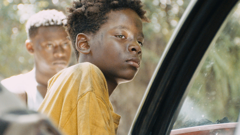 кадр из фильма Tropique de la violence