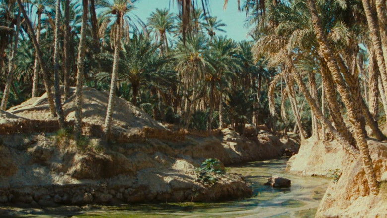 кадр из фильма Zaa, petit chameau blanc