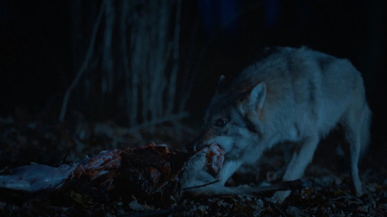 кадр из фильма Beigas