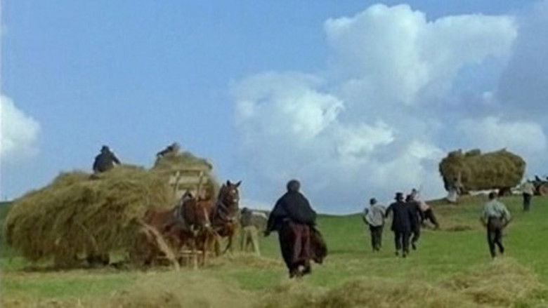 кадр из фильма Роза Бернд