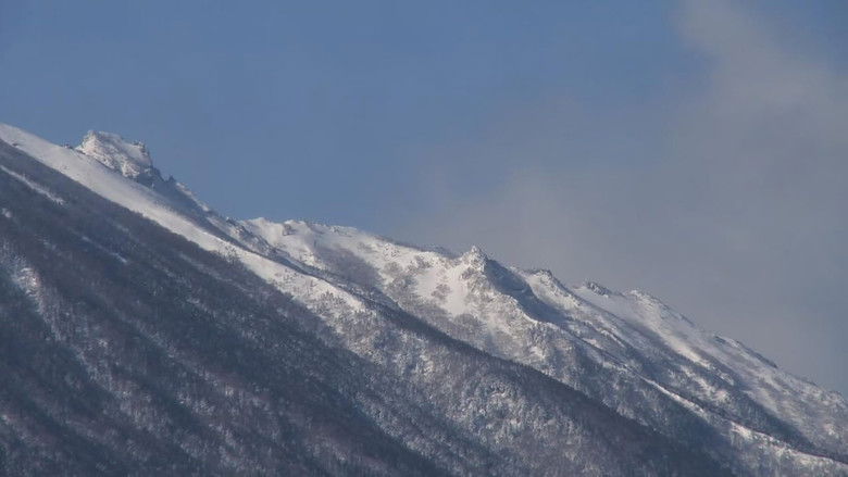 кадр из фильма ヘヴンズ ストーリー