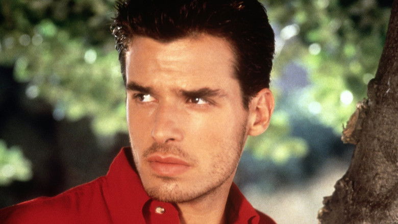 кадр из фильма Code Name: Wolverine