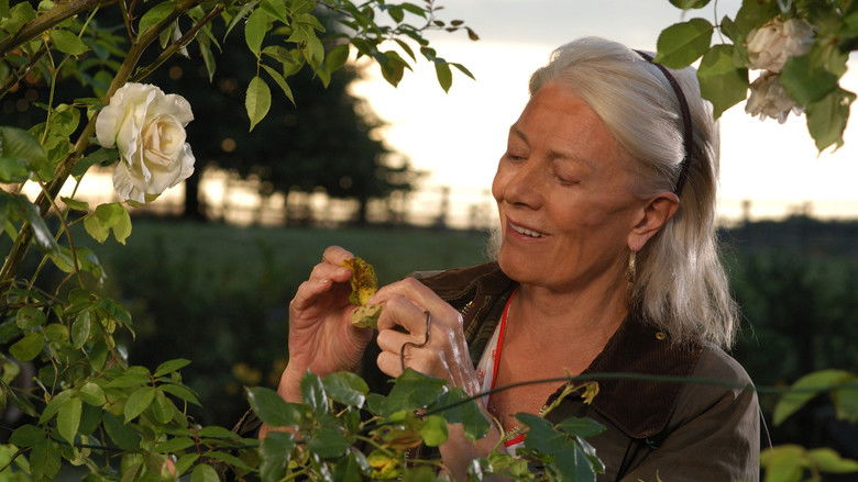 кадр из фильма The Shell Seekers