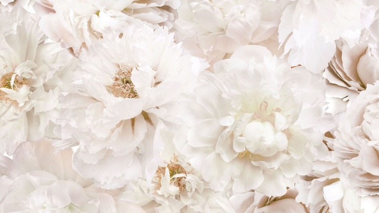 кадр из фильма Deadly Vows