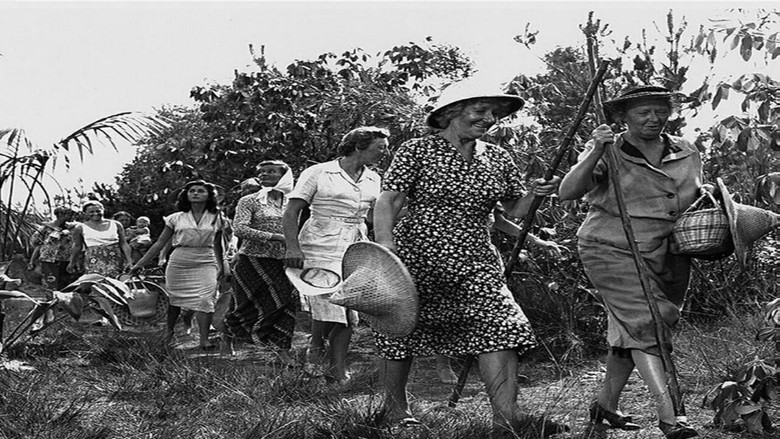 кадр из фильма Город, похожий на Элис