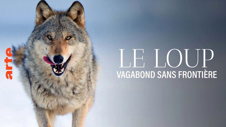 кадр из фильма Wolf