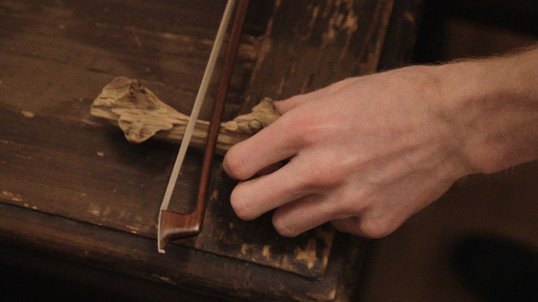 кадр из фильма Sound Pictures by Music