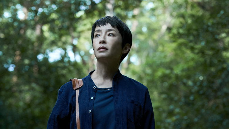 кадр из фильма 月