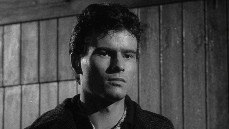 кадр из фильма Тигровая бухта