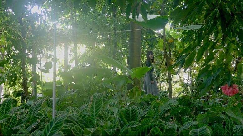 кадр из фильма 散歩する植物