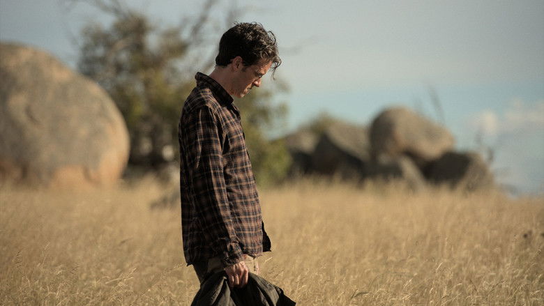 кадр из фильма In Vitro