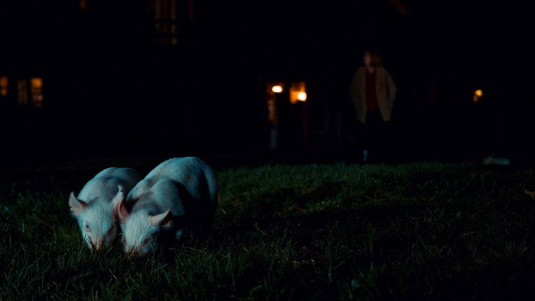 кадр из фильма Piglady