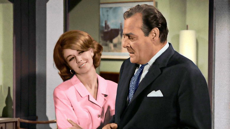 кадр из фильма Ο σπαγγοραμένος