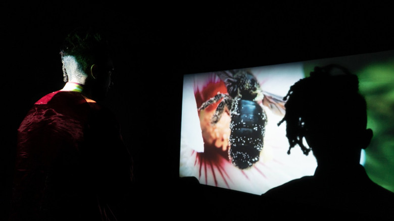 кадр из фильма Nature Liminale