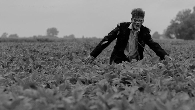 кадр из фильма Вампиры-зомби... из космоса!