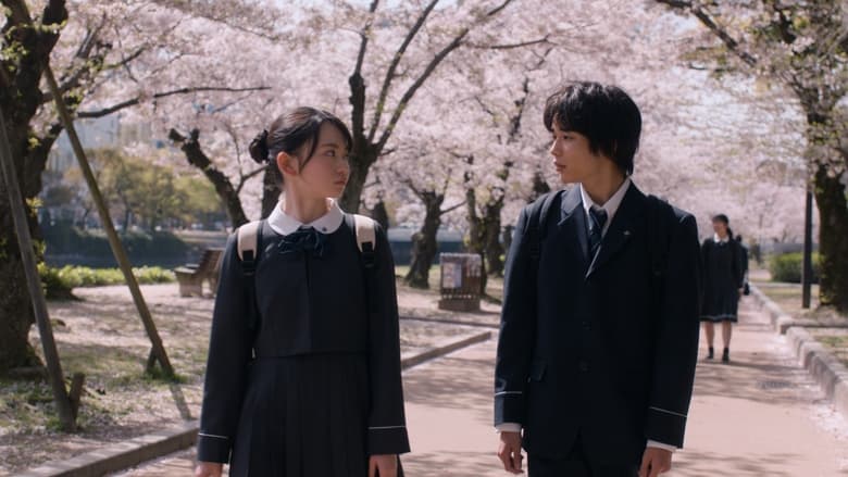 HOMESTAY (ホームステイ)