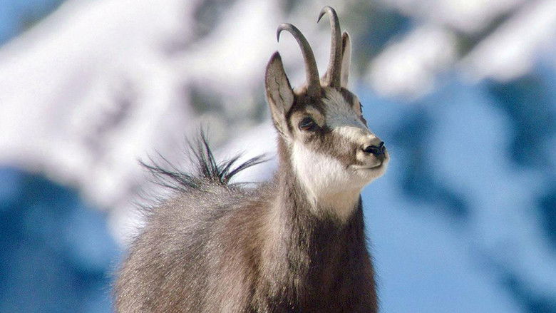 кадр из фильма Winter am Alpenrand