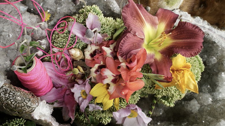 кадр из фильма Civil Twilight at the Vernal Equinox