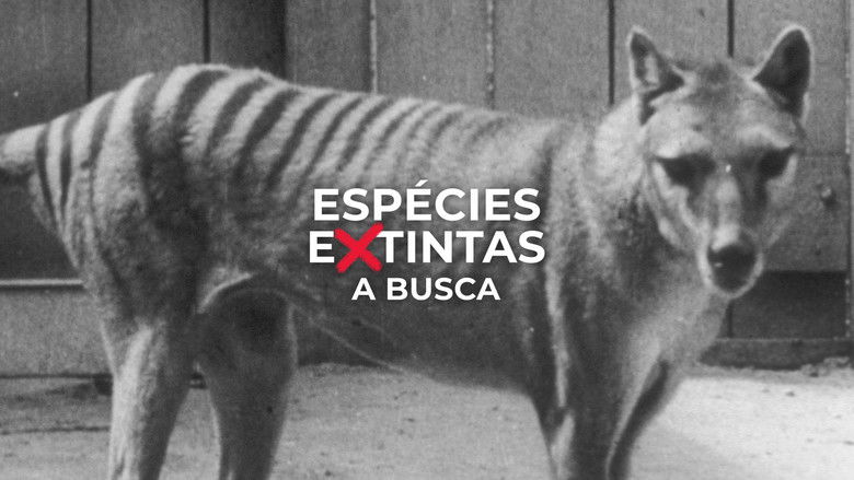кадр из фильма Extinct or Alive: The Tasmanian Tiger