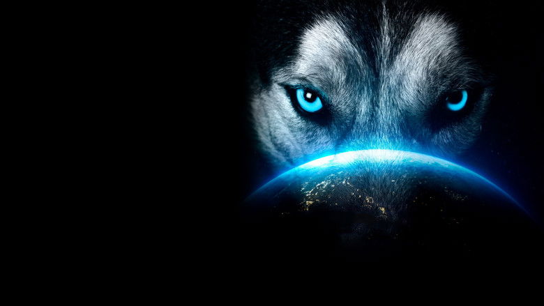 кадр из фильма TRHD presents K-1 WORLD MAX