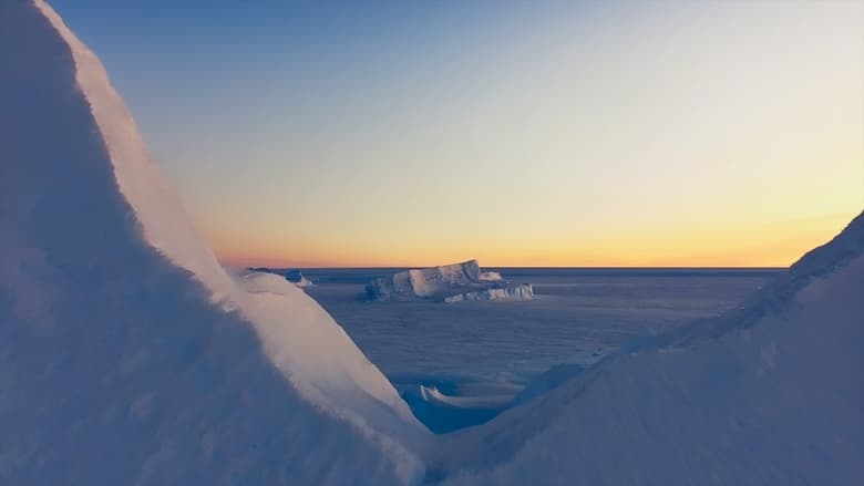 кадр из фильма Антарктида