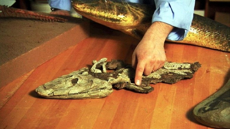 кадр из фильма NOVA: Judgement Day - Intelligent Design on Trial