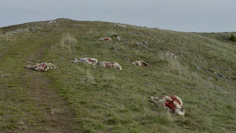 кадр из фильма Стоять ровно