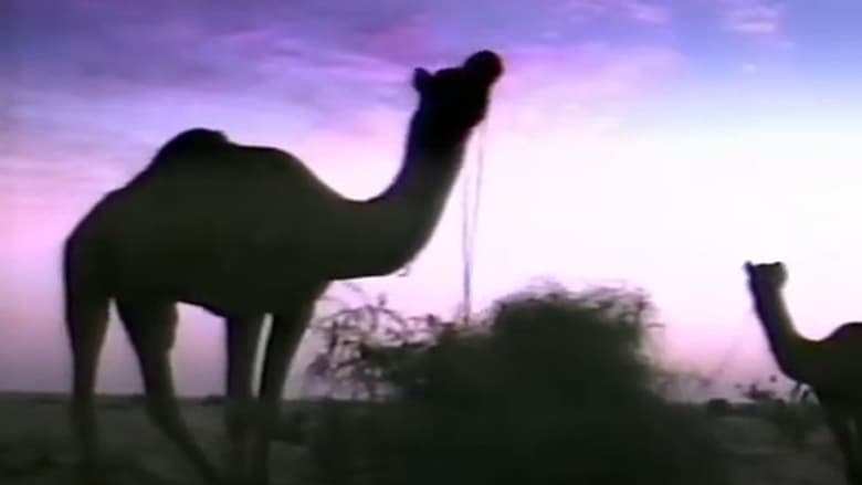 кадр из фильма L'ozone n'a qu'une bosse