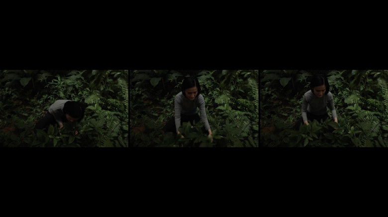 кадр из фильма Anitya (Impermanence)