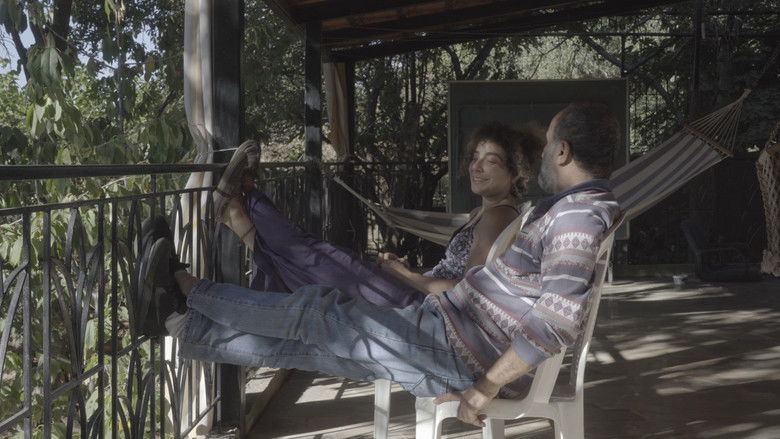 кадр из фильма The cats, the sea, and everything in between.