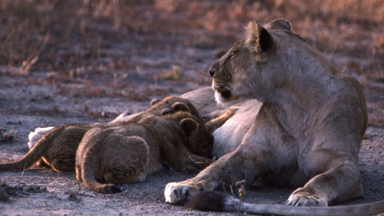 кадр из фильма Brutal Killers