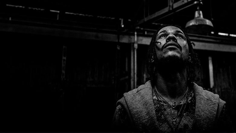 кадр из фильма Domingo Sem Deus