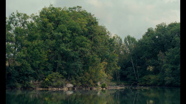 кадр из фильма les grillons.