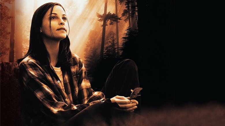 Гриль-бар «Порох»