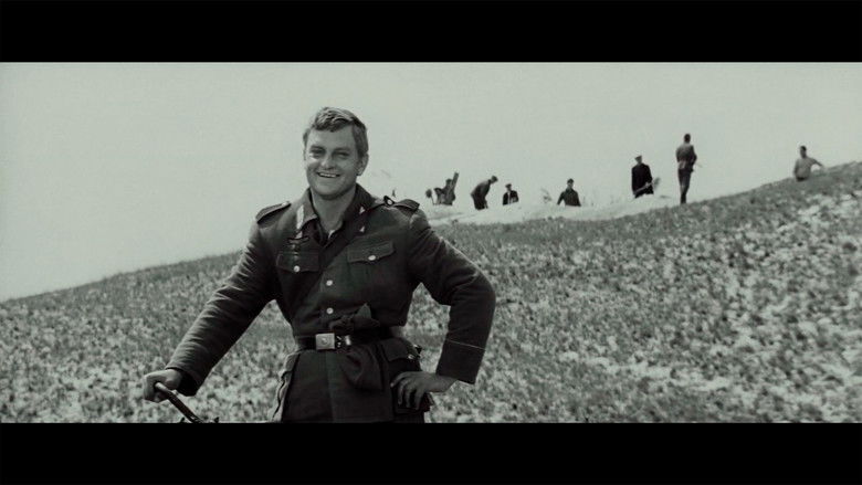 кадр из фильма Чувства