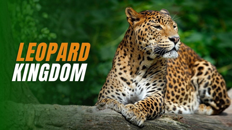 кадр из фильма Leopard Kingdom