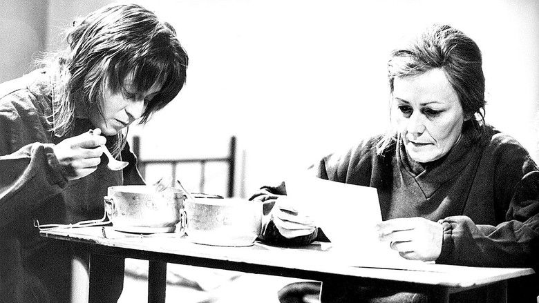 кадр из фильма Zatmění všech sluncí