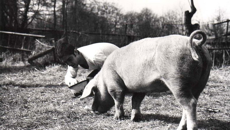 кадр из фильма Свадебная ваза
