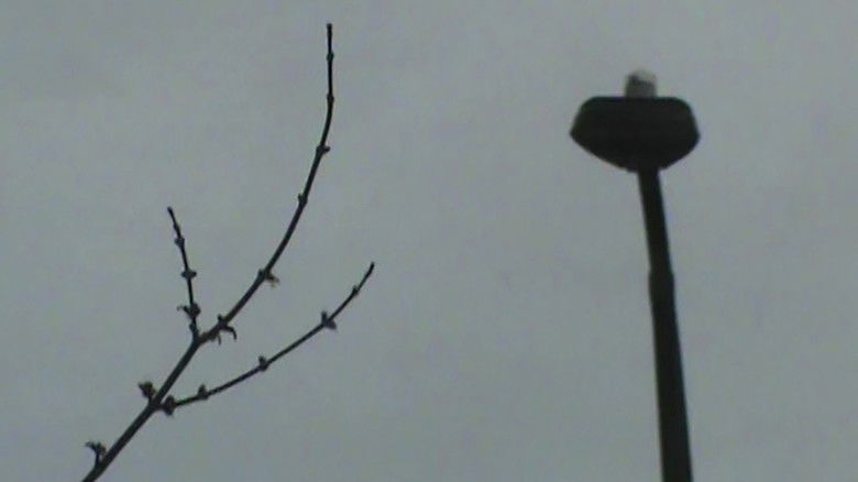 кадр из фильма rainy streets