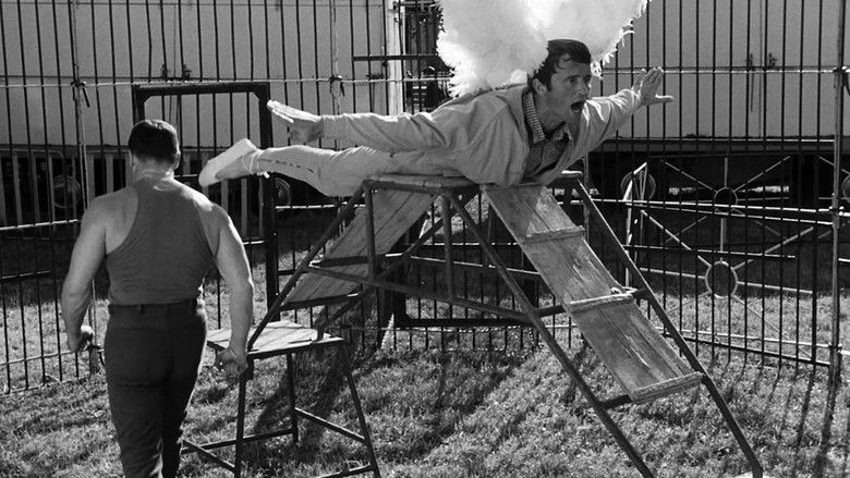 кадр из фильма Fifi la plume