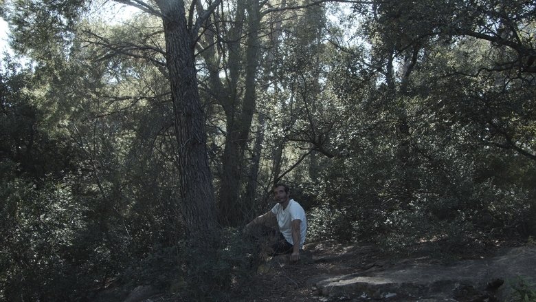 кадр из фильма L'home de ferro