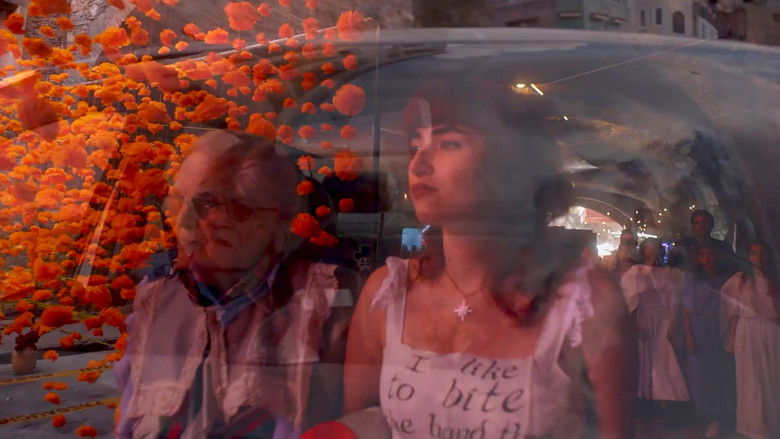 кадр из фильма Don Barry: A Quixotic Exploration