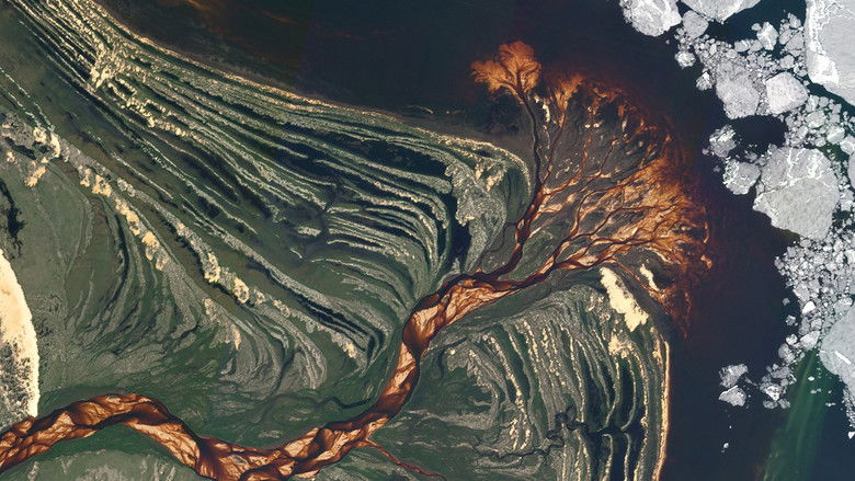 кадр из фильма 2024: The Year From Space