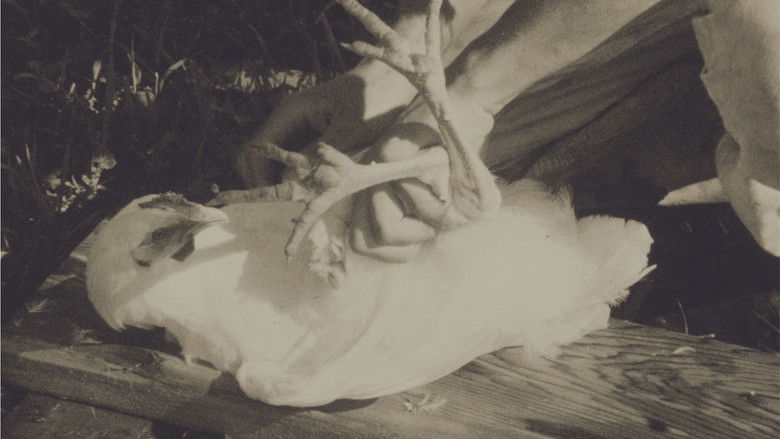 кадр из фильма A History of Dancing