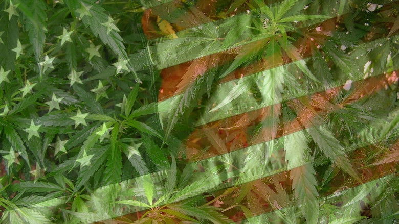 кадр из фильма Травка