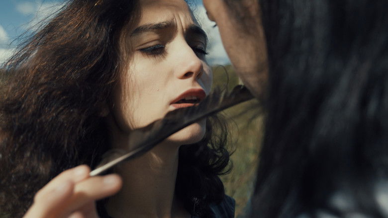 кадр из фильма Pilgrim