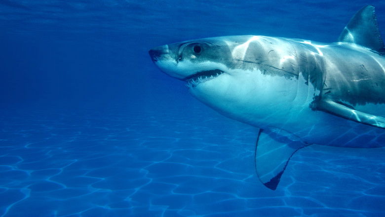 кадр из фильма Захватчики побережья