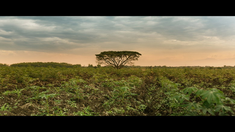 кадр из фильма Soñé su nombre