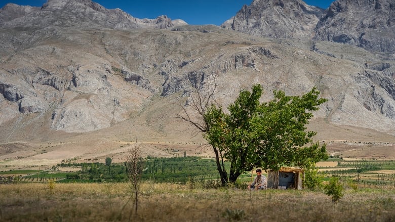 кадр из фильма То, что ты убиваешь